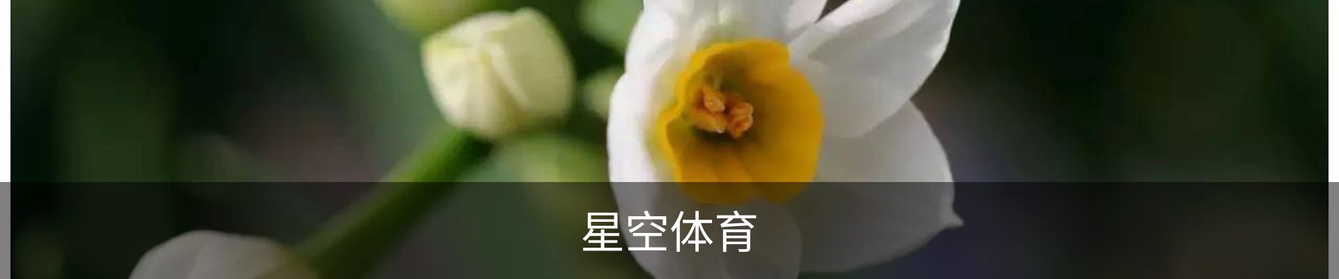 星空体育 (中国)官方网站 Starrysky Sports